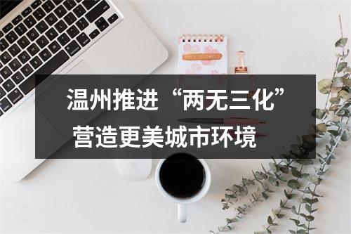 温州推进“两无三化” 营造更美城市环境