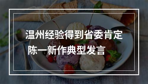 温州经验得到省委肯定 陈一新作典型发言