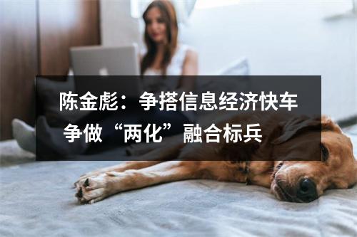 陈金彪：争搭信息经济快车 争做“两化”融合标兵
