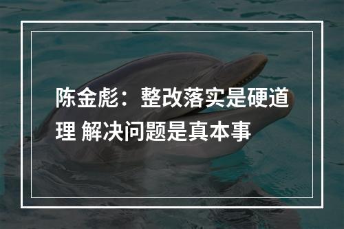 陈金彪：整改落实是硬道理 解决问题是真本事