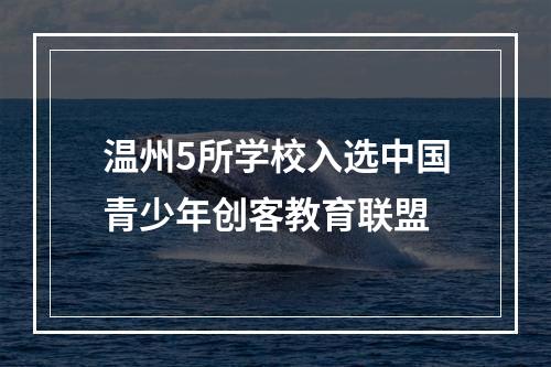 温州5所学校入选中国青少年创客教育联盟