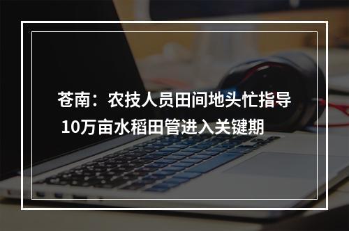 苍南：农技人员田间地头忙指导 10万亩水稻田管进入关键期
