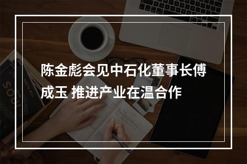 陈金彪会见中石化董事长傅成玉 推进产业在温合作