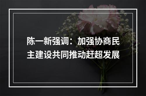 陈一新强调：加强协商民主建设共同推动赶超发展