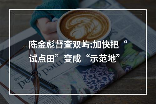 陈金彪督查双屿:加快把“试点田”变成“示范地”