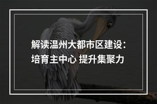 解读温州大都市区建设：培育主中心 提升集聚力