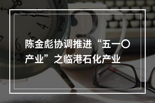 陈金彪协调推进“五一〇产业”之临港石化产业