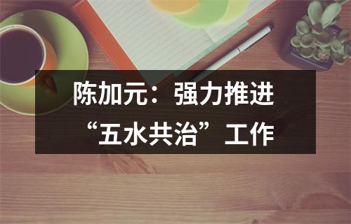 陈加元：强力推进 “五水共治”工作