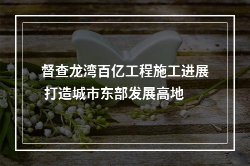 督查龙湾百亿工程施工进展 打造城市东部发展高地