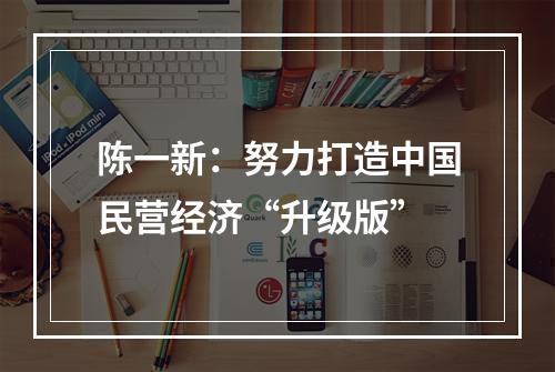 陈一新：努力打造中国民营经济“升级版”