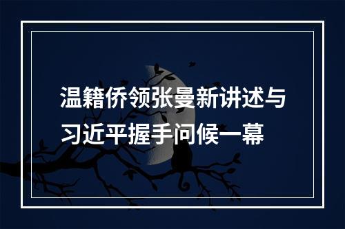 温籍侨领张曼新讲述与习近平握手问候一幕