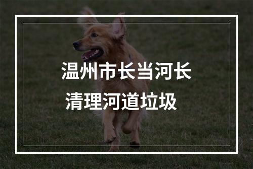 温州市长当河长 清理河道垃圾