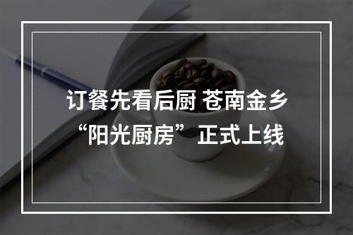 订餐先看后厨 苍南金乡“阳光厨房”正式上线
