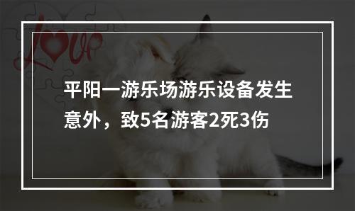 平阳一游乐场游乐设备发生意外，致5名游客2死3伤