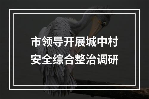 市领导开展城中村安全综合整治调研