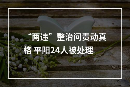 “两违”整治问责动真格 平阳24人被处理