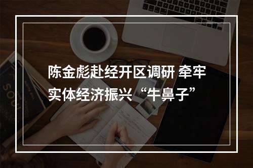 陈金彪赴经开区调研 牵牢实体经济振兴“牛鼻子”