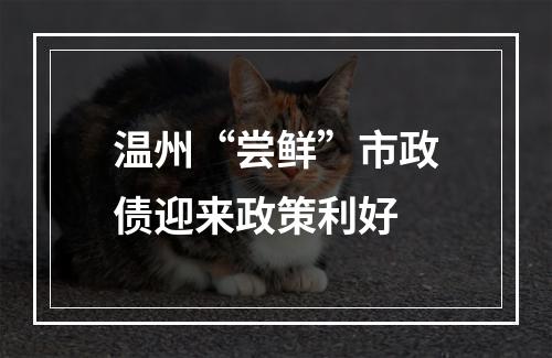 温州“尝鲜”市政债迎来政策利好