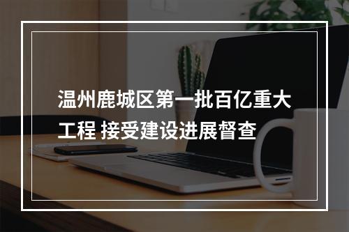 温州鹿城区第一批百亿重大工程 接受建设进展督查