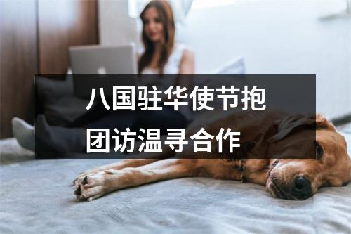 八国驻华使节抱团访温寻合作