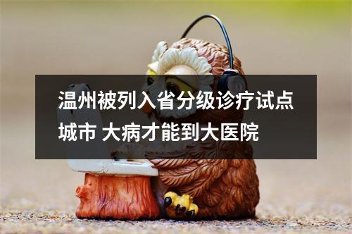 温州被列入省分级诊疗试点城市 大病才能到大医院