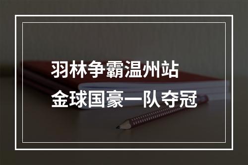 羽林争霸温州站 金球国豪一队夺冠