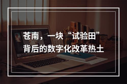 苍南，一块“试验田”背后的数字化改革热土