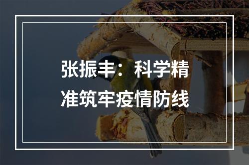 张振丰：科学精准筑牢疫情防线