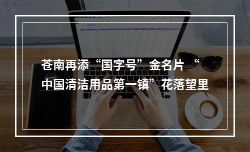 苍南再添“国字号”金名片 “中国清洁用品第一镇”花落望里