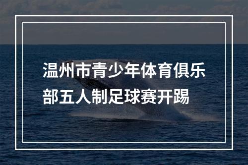 温州市青少年体育俱乐部五人制足球赛开踢