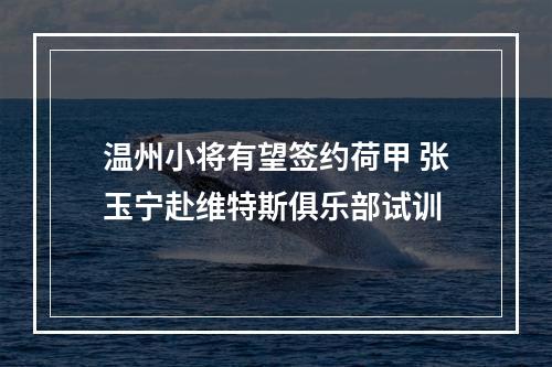温州小将有望签约荷甲 张玉宁赴维特斯俱乐部试训
