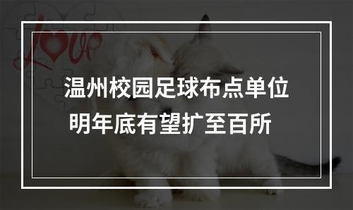 温州校园足球布点单位 明年底有望扩至百所