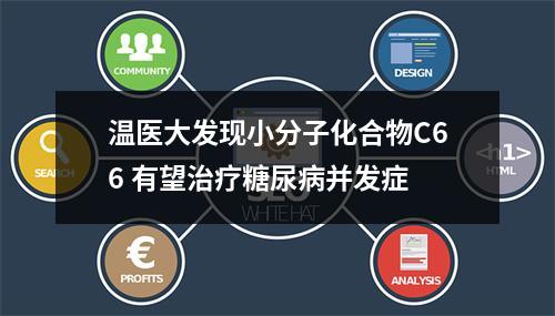 温医大发现小分子化合物C66 有望治疗糖尿病并发症