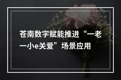 苍南数字赋能推进“一老一小e关爱”场景应用