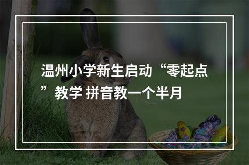 温州小学新生启动“零起点”教学 拼音教一个半月