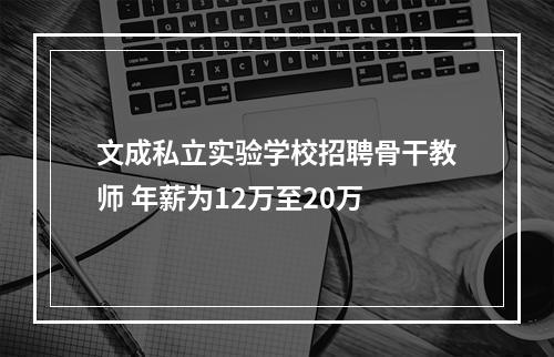 文成私立实验学校招聘骨干教师 年薪为12万至20万