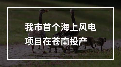 我市首个海上风电项目在苍南投产