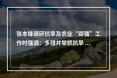 张本锋调研抗旱及农业“双强”工作时强调：多措并举抓抗旱 千方百计稳生产