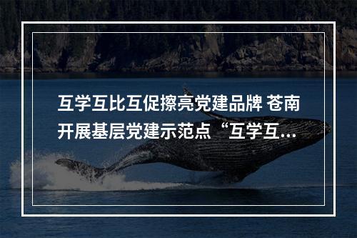互学互比互促擦亮党建品牌 苍南开展基层党建示范点“互学互比”活动