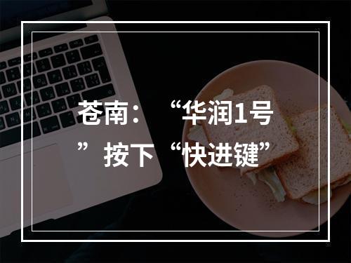 苍南：“华润1号”按下“快进键”