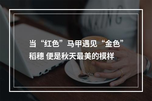 当“红色”马甲遇见“金色”稻穗 便是秋天最美的模样