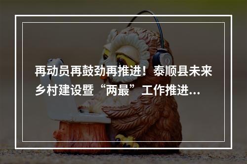 再动员再鼓劲再推进！泰顺县未来乡村建设暨“两最”工作推进会召开