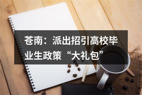 苍南：派出招引高校毕业生政策“大礼包”