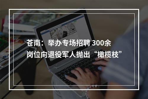 苍南：举办专场招聘 300余岗位向退役军人抛出“橄榄枝”