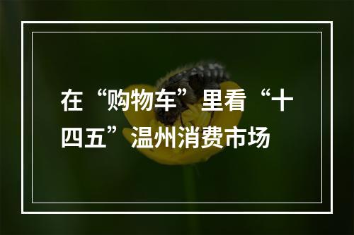 在“购物车”里看“十四五”温州消费市场