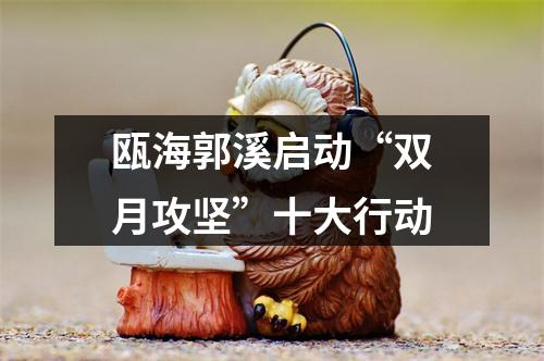 瓯海郭溪启动“双月攻坚”十大行动