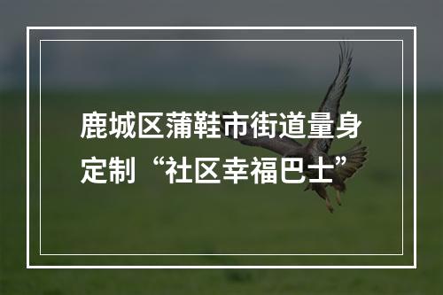 鹿城区蒲鞋市街道量身定制“社区幸福巴士”