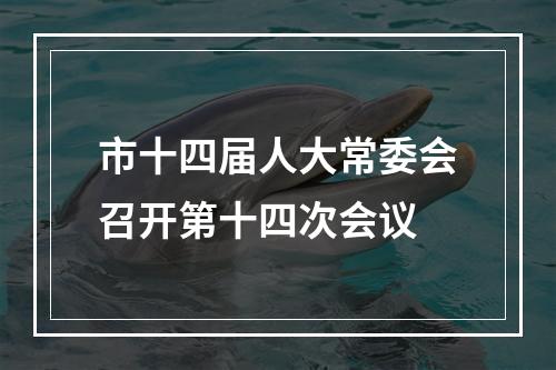 市十四届人大常委会召开第十四次会议