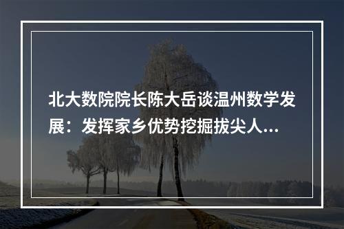 北大数院院长陈大岳谈温州数学发展：发挥家乡优势挖掘拔尖人才