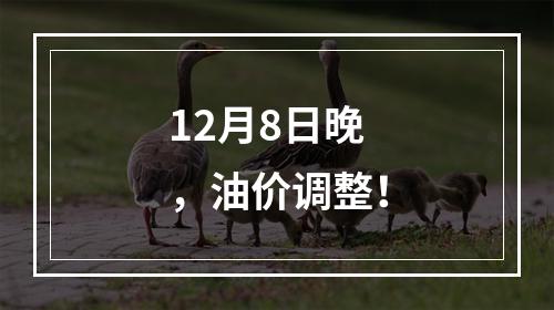12月8日晚，油价调整！